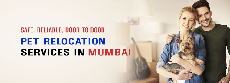 pet-relocation-services-in-mumbai