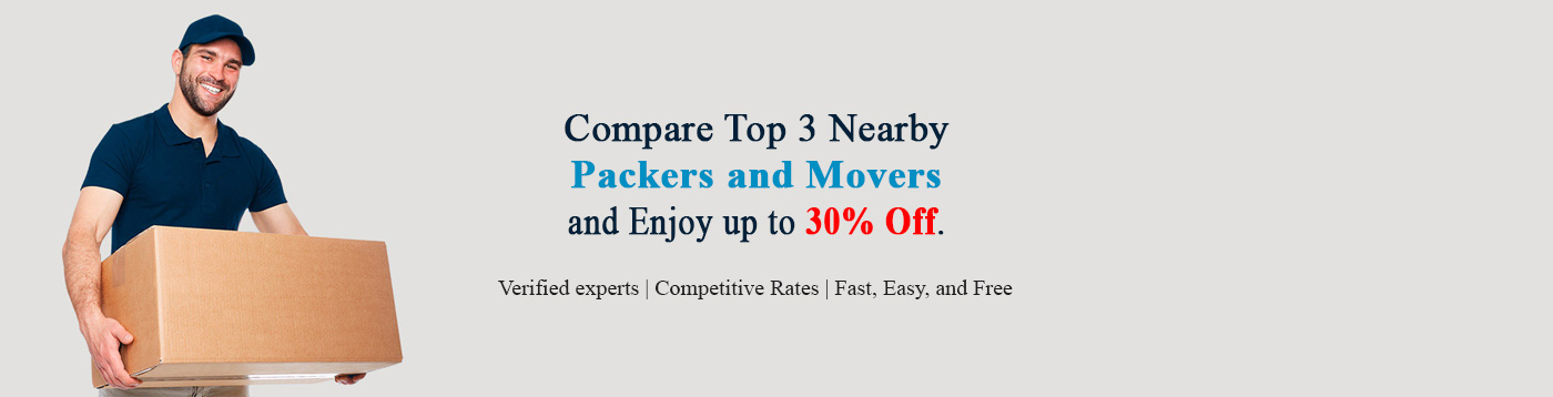 packers-movers-website-home